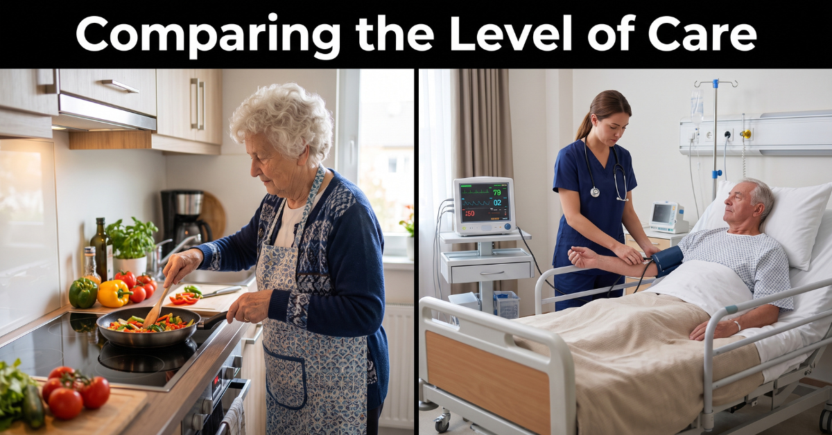 Comparing level of care assisted living vs nursing home